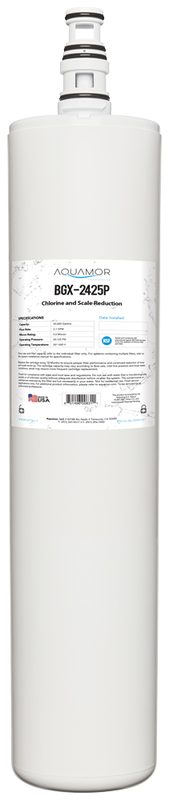 BGX-2425P filtration product