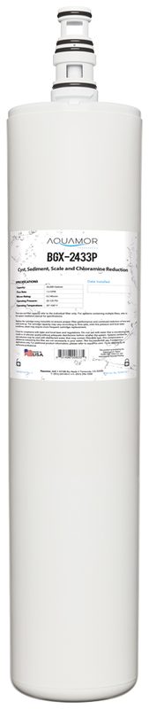 BGX-2433P filtration product