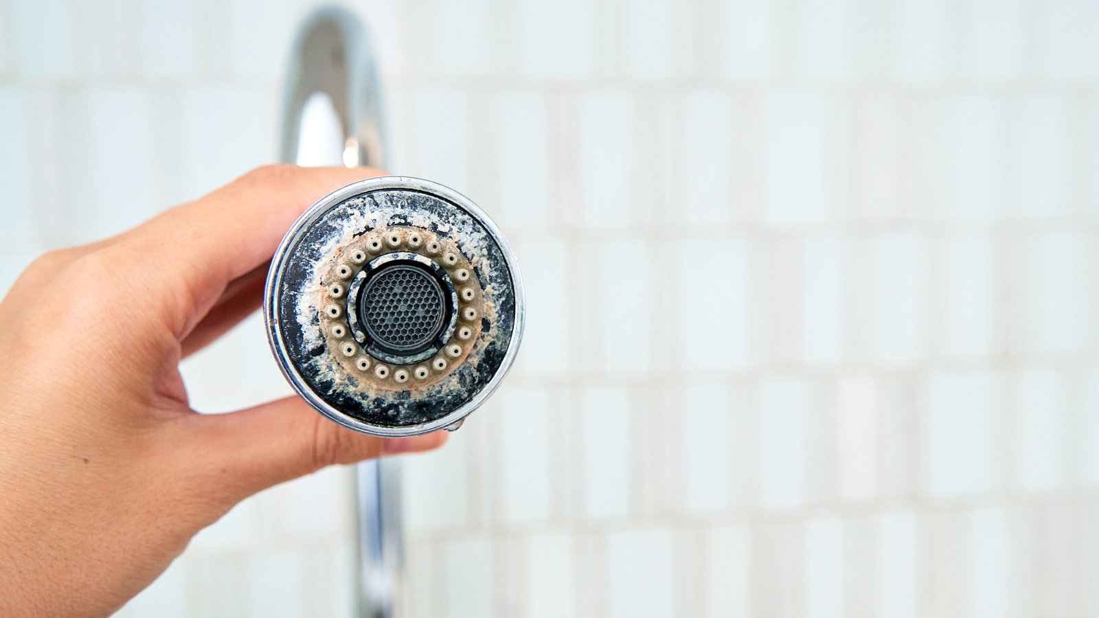 Chlorine, chloramines, and scale: three problems American tap water solves poorly